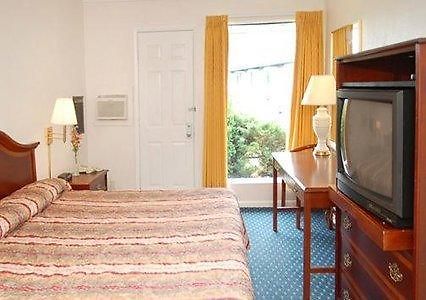 Econo Lodge Inn & Suites Shelburne Kamer foto